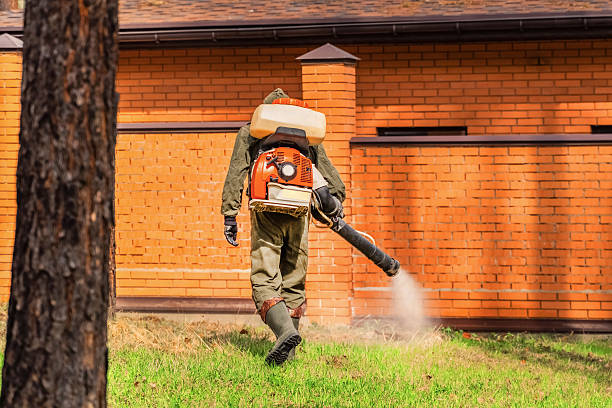 Trusted Ant Control service in Norwood, OH - Nex Pest Control